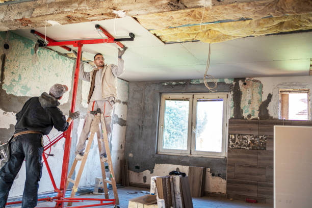 Best Commercial Insulation in Marionville, MO